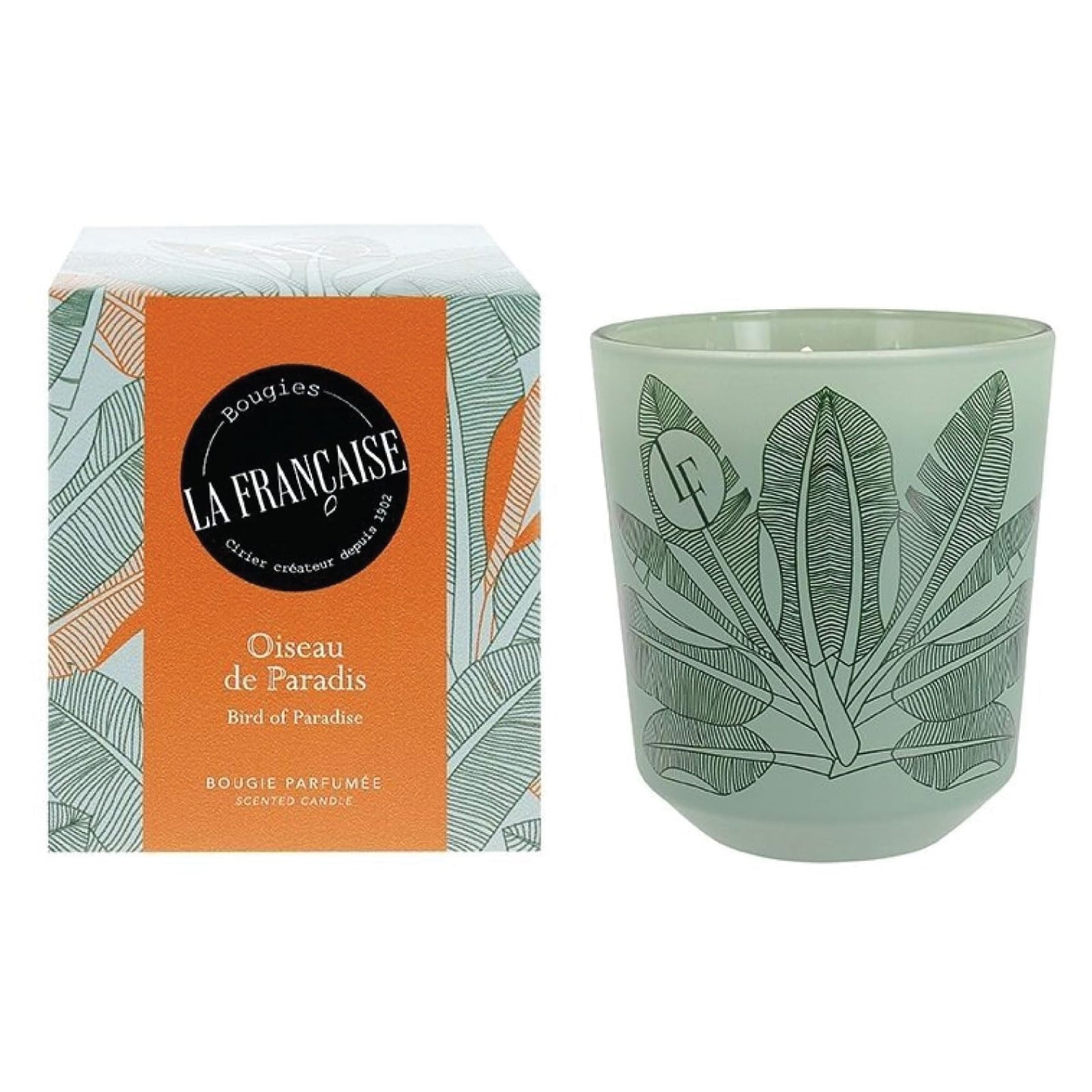Bougies La Francaise - French-made Scented Candle Jar - Bird of Paradise - Made in France, 200 grams, +/- 40-Hour Burn Time - 3.35 x 3.35 x 3.76 inches