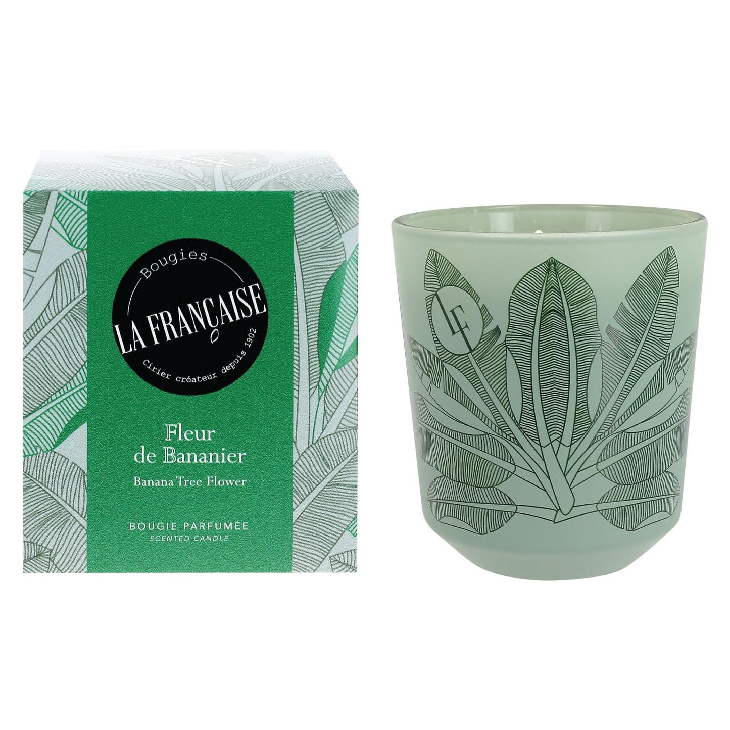 Bougies La Francaise - French-made Scented Candle Jar - Banana Tree Flower - Made in France, 200 grams, +/- 40-Hour Burn Time - 3.35 x 3.35 x 3.76 inches