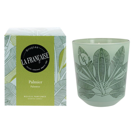 Bougies La Francaise - French-made Scented Candle Jar - Palm Tree - Made in France, 200 grams, +/- 40-Hour Burn Time - 3.35 x 3.35 x 3.76 inches